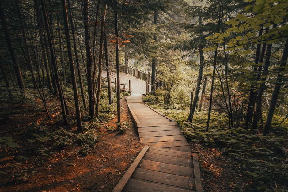 What Consistency Looks Like With A Balanced Approach To Wellness, Minus the Overwhelm